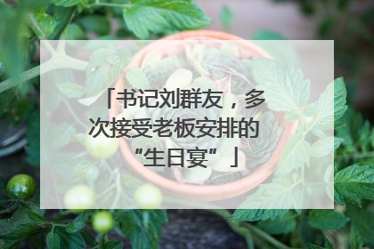书记刘群友，多次接受老板安排的“生日宴”