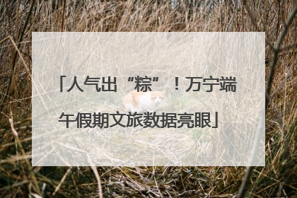 人气出“粽”！万宁端午假期文旅数据亮眼