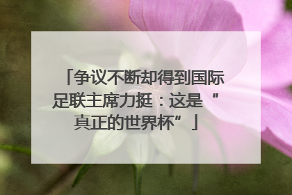 争议不断却得到国际足联主席力挺：这是“真正的世界杯”