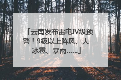 云南发布雷电Ⅳ级预警！9级以上阵风、大冰雹、暴雨……