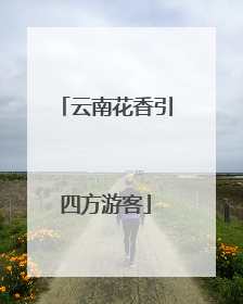 云南花香引四方游客