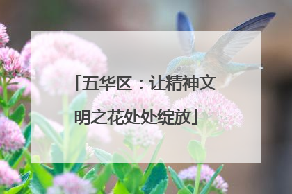 五华区：让精神文明之花处处绽放