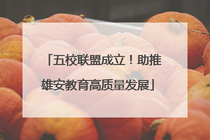 五校联盟成立！助推雄安教育高质量发展