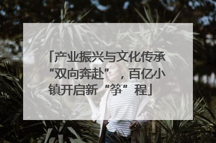 产业振兴与文化传承“双向奔赴”，百亿小镇开启新“筝”程