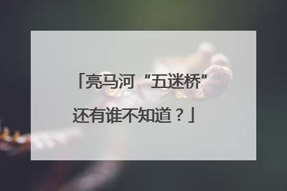亮马河“五迷桥”还有谁不知道？