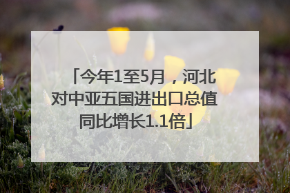 今年1至5月，河北对中亚五国进出口总值同比增长1.1倍
