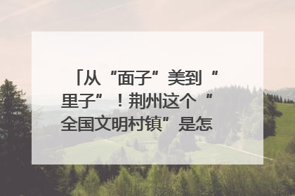 从“面子”美到“里子”！荆州这个“全国文明村镇”是怎样炼成的？