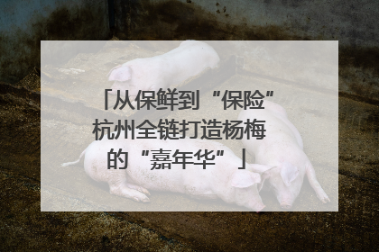 从保鲜到“保险” 杭州全链打造杨梅的“嘉年华”