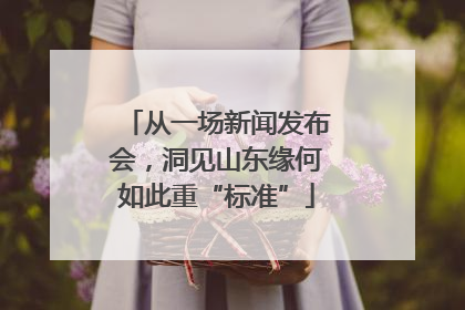 从一场新闻发布会，洞见山东缘何如此重“标准”