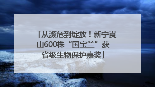 从濒危到绽放！新宁崀山600株“国宝兰”获省级生物保护嘉奖