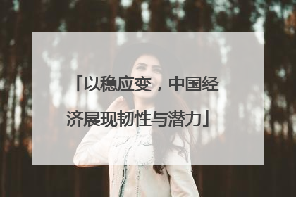 以稳应变，中国经济展现韧性与潜力
