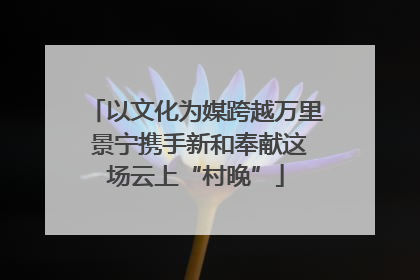 以文化为媒跨越万里 景宁携手新和奉献这场云上“村晚”