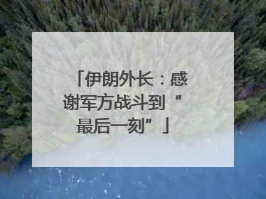 伊朗外长：感谢军方战斗到“最后一刻”