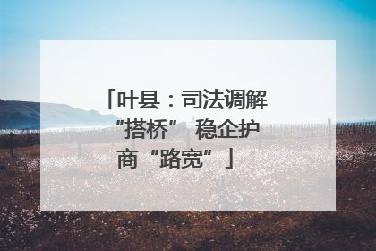 叶县：司法调解“搭桥” 稳企护商“路宽”