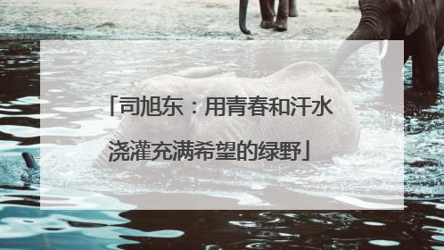 司旭东：用青春和汗水浇灌充满希望的绿野