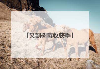又到树莓收获季
