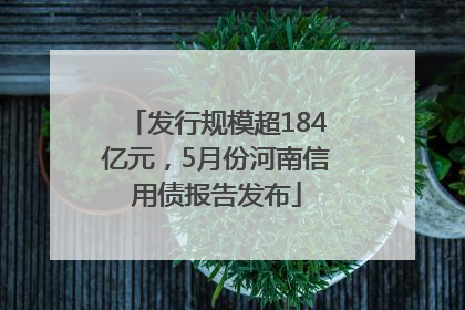 发行规模超184亿元，5月份河南信用债报告发布