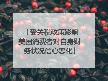 受关税政策影响 美国消费者对自身财务状况信心恶化