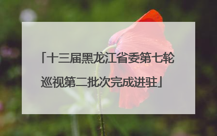 十三届黑龙江省委第七轮巡视第二批次完成进驻
