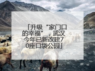 升级“家门口的幸福”，武汉今年已新改建70座口袋公园
