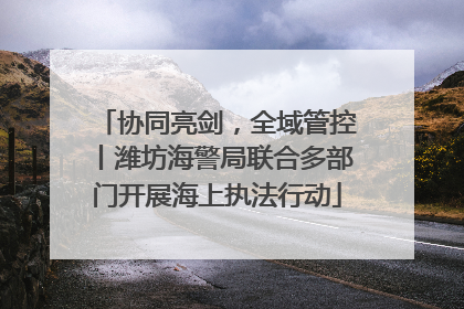 协同亮剑，全域管控丨潍坊海警局联合多部门开展海上执法行动