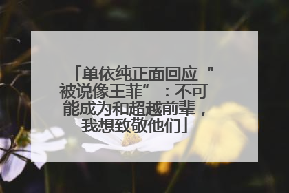 单依纯正面回应“被说像王菲”：不可能成为和超越前辈，我想致敬他们