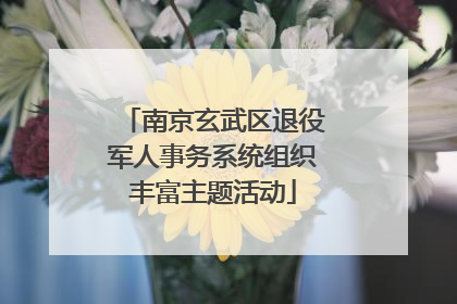 南京玄武区退役军人事务系统组织丰富主题活动