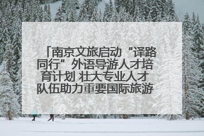 南京文旅启动“译路同行”外语导游人才培育计划 壮大专业人才队伍助力重要国际旅游目的地建设
