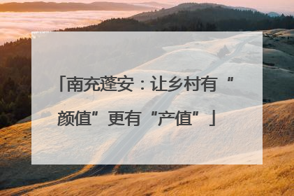南充蓬安：让乡村有“颜值”更有“产值”