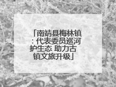 南靖县梅林镇：代表委员巡河护生态 助力古镇文旅升级