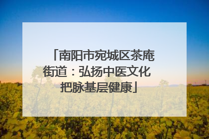 南阳市宛城区茶庵街道：弘扬中医文化 把脉基层健康