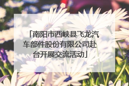 南阳市西峡县飞龙汽车部件股份有限公司赴台开展交流活动