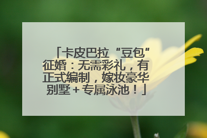卡皮巴拉“豆包”征婚：无需彩礼，有正式编制，嫁妆豪华别墅＋专属泳池！