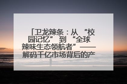 卫龙辣条：从 “校园记忆” 到 “全球辣味生态领航者”——解码千亿市场背后的产品创新与全链路破圈