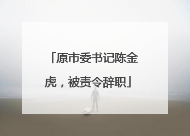 原市委书记陈金虎，被责令辞职