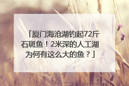 厦门海沧湖钓起72斤石斑鱼！2米深的人工湖为何有这么大的鱼？