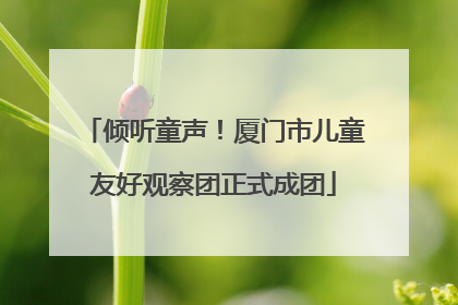 倾听童声！厦门市儿童友好观察团正式成团