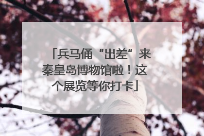 兵马俑“出差”来秦皇岛博物馆啦！这个展览等你打卡