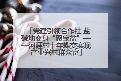 党建引领合作社 盐碱地变身“聚宝盆”——河涯村十年蝶变实现产业兴村群众富