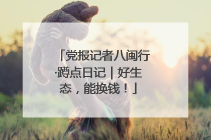 党报记者八闽行·蹲点日记｜好生态，能换钱！