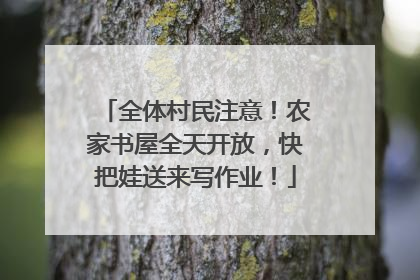全体村民注意！农家书屋全天开放，快把娃送来写作业！