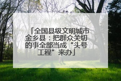 全国县级文明城市金乡县：把群众关切的事全部当成“头号工程”来办