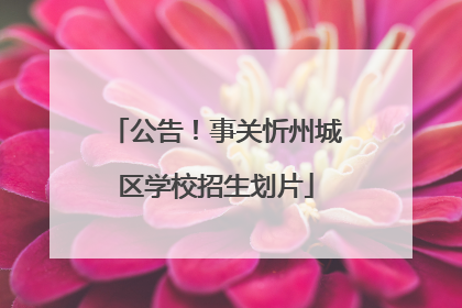 公告！事关忻州城区学校招生划片