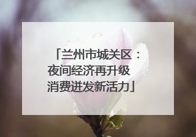 兰州市城关区：夜间经济再升级 消费迸发新活力