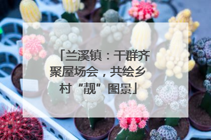 兰溪镇：干群齐聚屋场会，共绘乡村“靓”图景