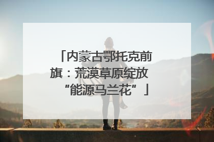 内蒙古鄂托克前旗：荒漠草原绽放“能源马兰花”