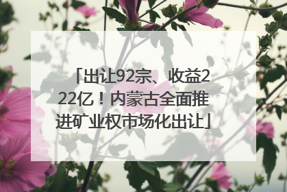 出让92宗、收益222亿！内蒙古全面推进矿业权市场化出让