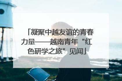 凝聚中越友谊的青春力量——越南青年“红色研学之旅”见闻