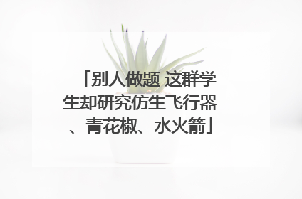 别人做题 这群学生却研究仿生飞行器、青花椒、水火箭