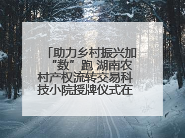 助力乡村振兴加“数”跑 湖南农村产权流转交易科技小院授牌仪式在长沙举行